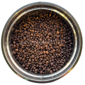 Robusta